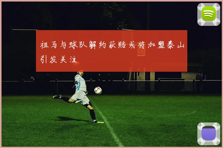 祖马与球队解约获赔或将加盟泰山引发关注